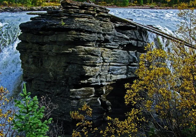 Athabasca-243.jpg