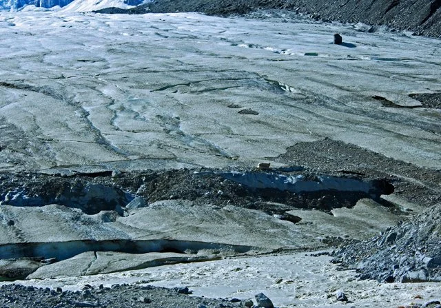 Icefield-255.jpg