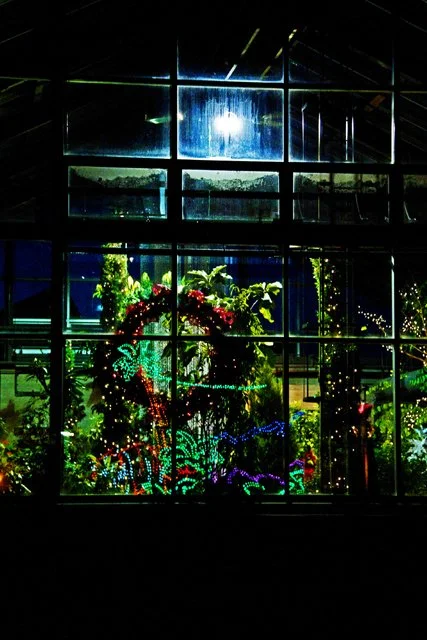 2012 Calgary Zoolights-150