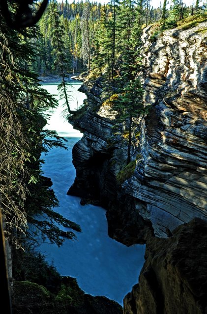 Athabasca-031.jpg