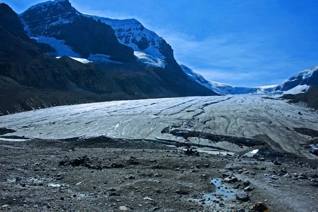 Icefield-271.jpg