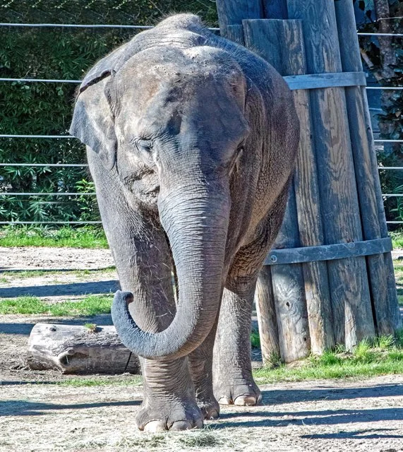 2024 FW Zoo-030