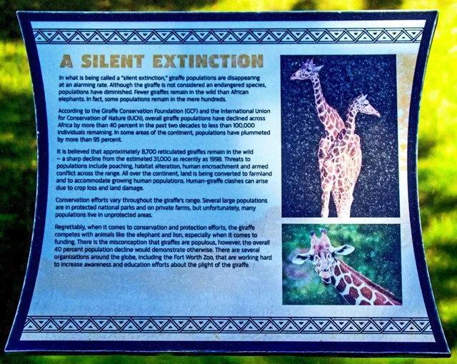 FW Zoo-109.jpg