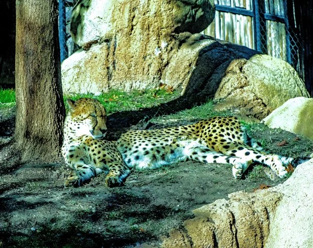 FW Zoo-078.jpg
