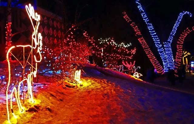 Zoolights-048.jpg