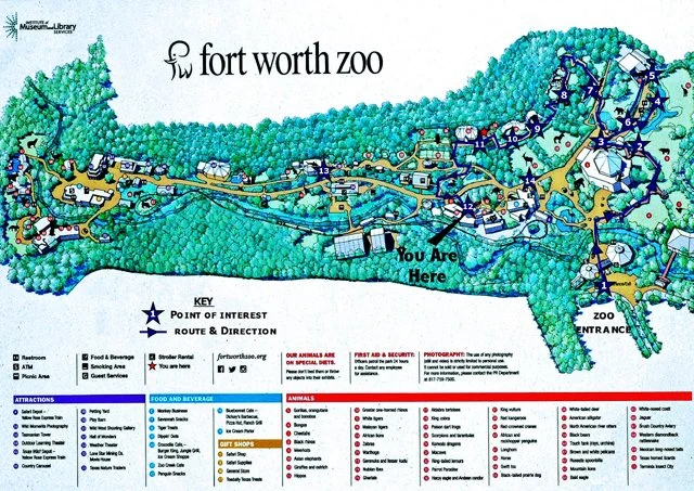 FWZoo-293.jpg