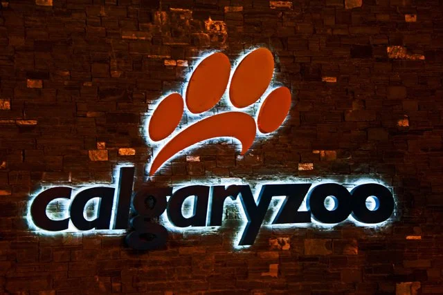 2012 Calgary Zoolights-001