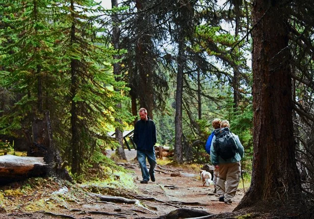 2011 Schaffer Trail-070