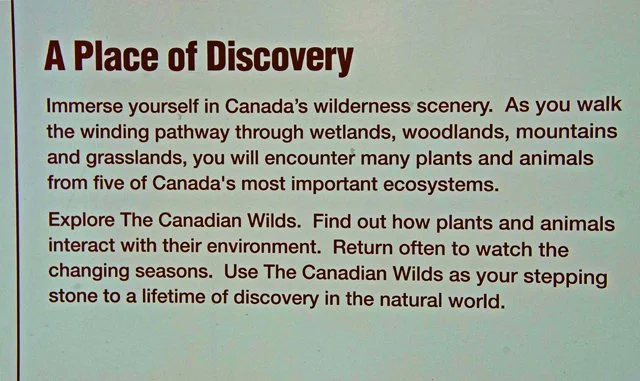 2012 Calgary Winter-040