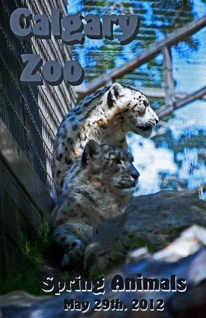 2012 Calgary Spring-001