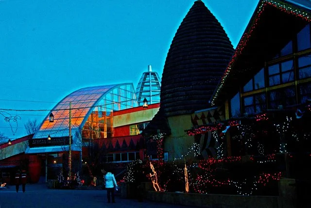 Zoolights-085.jpg