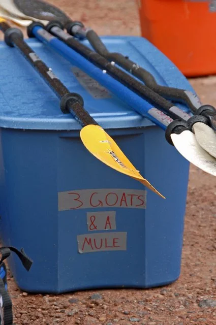 Xstream Event-061.jpg