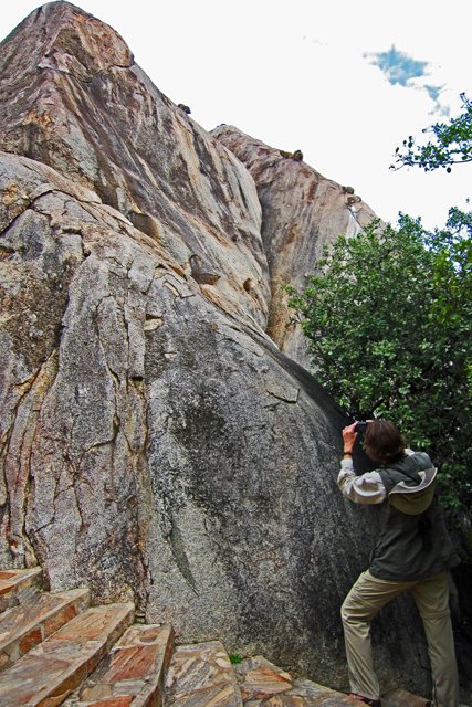 Sue Ellen Miller-060