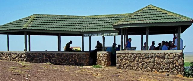 Day 04-113.jpg
