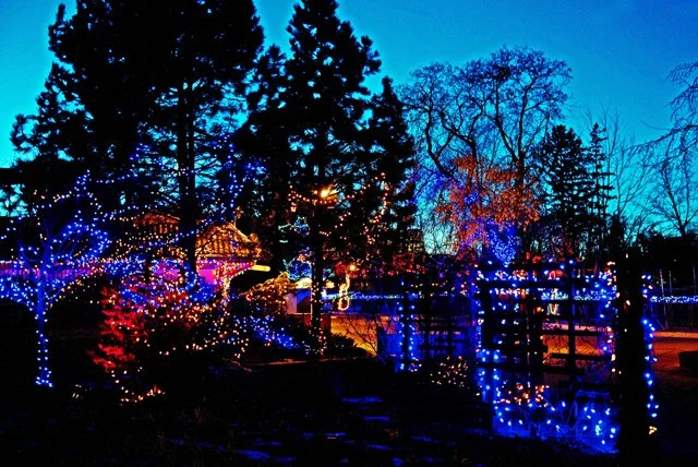Zoolights-127.jpg