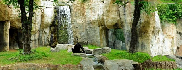 FWZoo-154.jpg