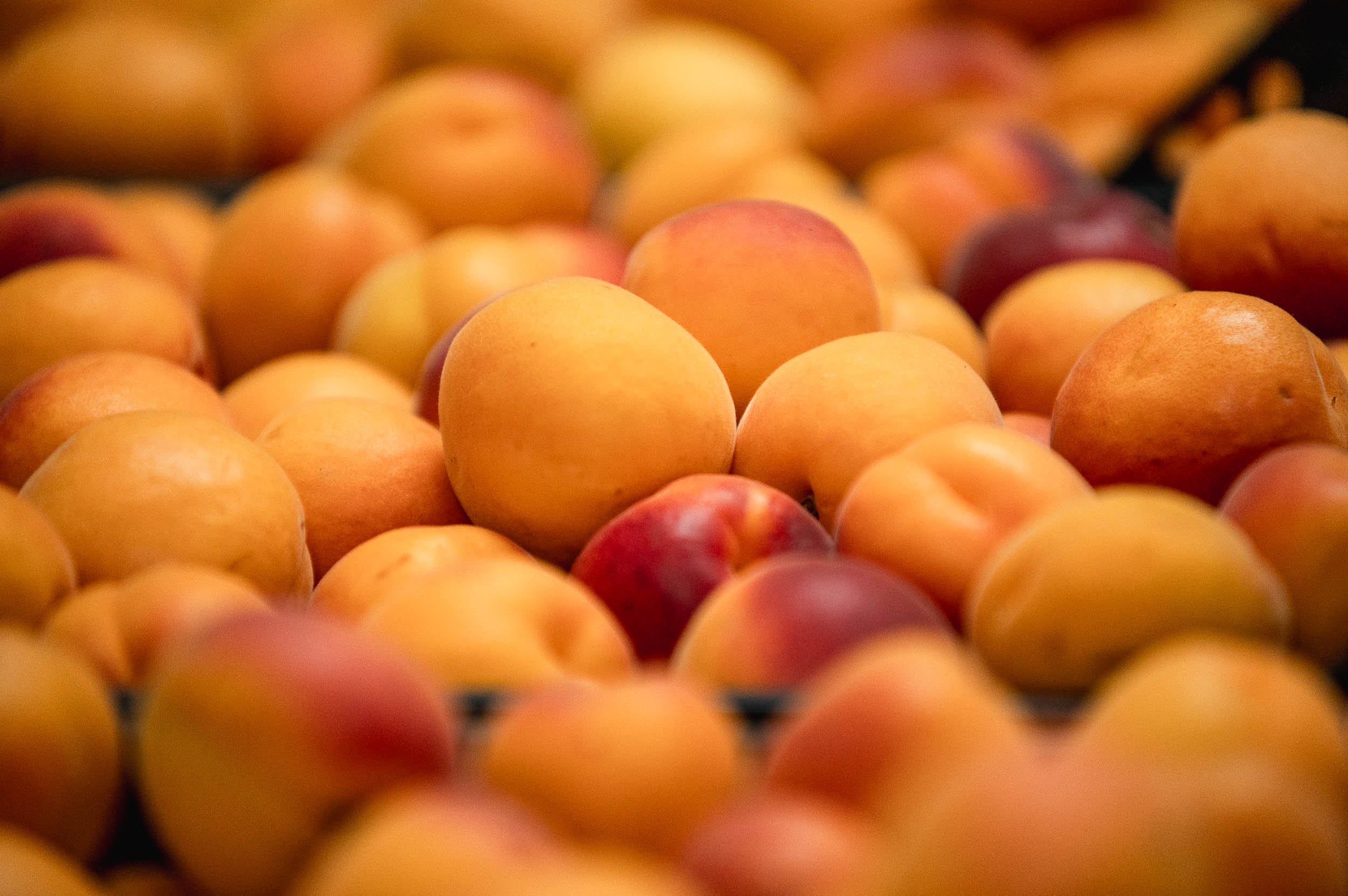 Cresta_Granolas_Frutas-20240618-JLC_9138.jpg