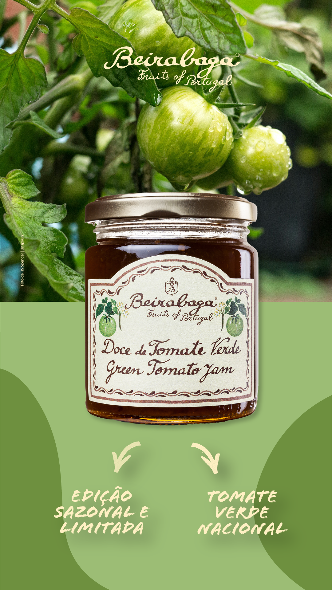 Doce_Tomate_Verde_BB_ago_2024-30-38.png