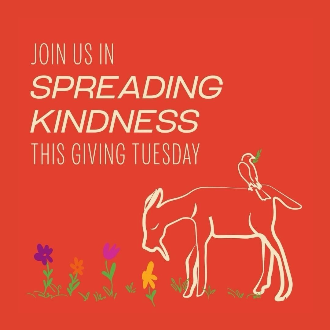 We conceived Little Saint as a place rooted in kindness. Join us this Giving Tuesday in supporting organizations doing work that&rsquo;s good for the soul, the earth, and all living creatures.

Wildlife Rescue Sonoma County @scwildliferescue &mdash; 
