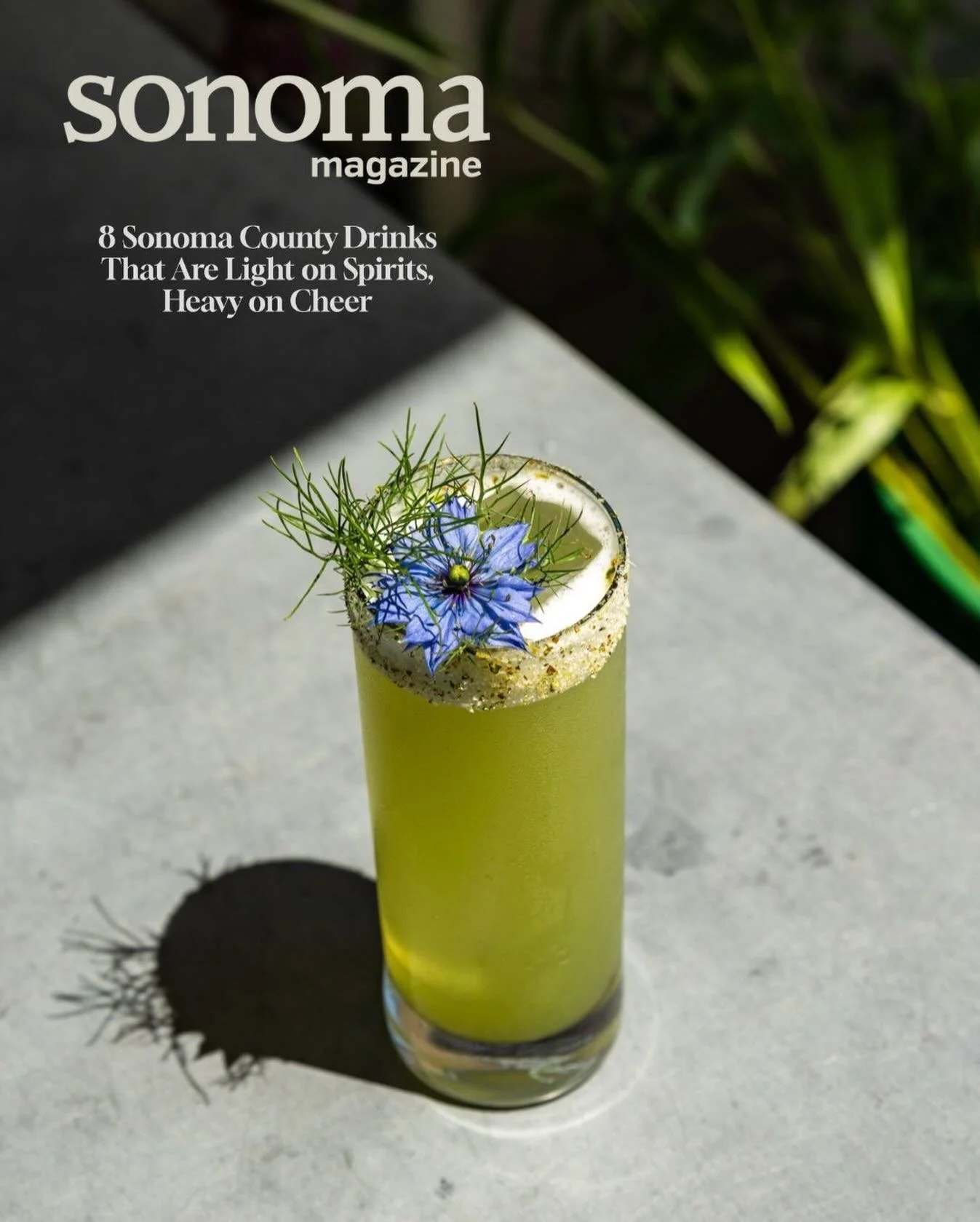 Sipping season, for everyone.✨We&rsquo;re featured in @sonomamag &mdash;spotlighting our zero-proof Garden Gnome made with @littlesaintfarm cucumbers, @dhosspirits Gin Free, lime + tonic.

Explore more of our NA favorites: Drink Your Heart Out, Mind 