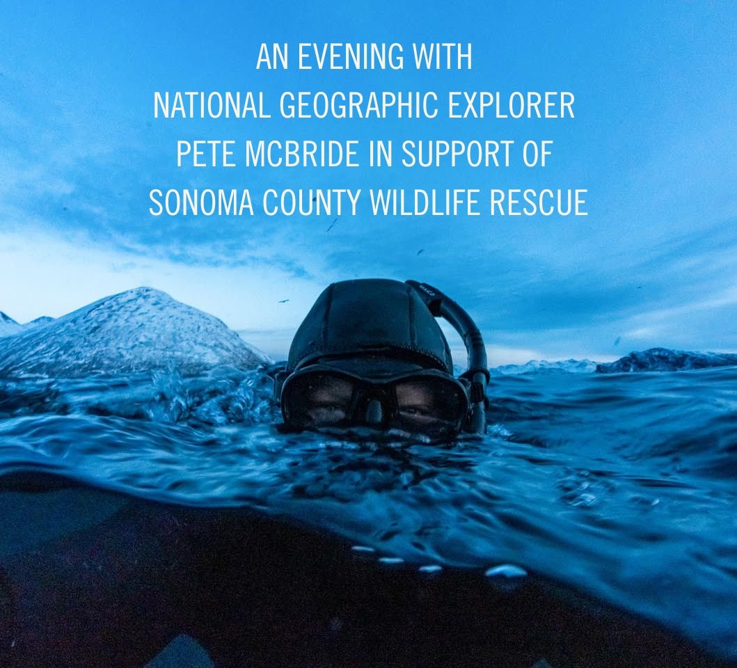 Witness to Water: An Evening with National Geographic Explorer Pete McBride