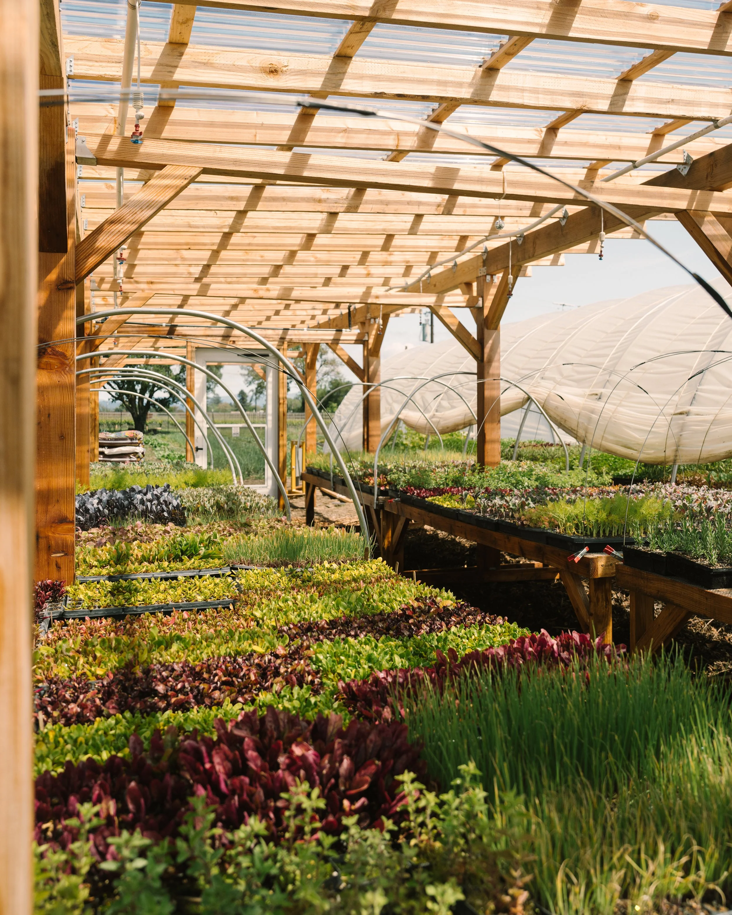 Copy of Flowers-FarmtoTable-Spring2023-80.jpg