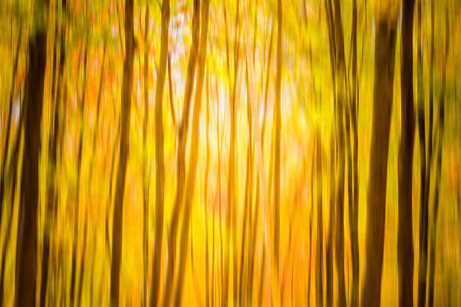 ICM - an introduction