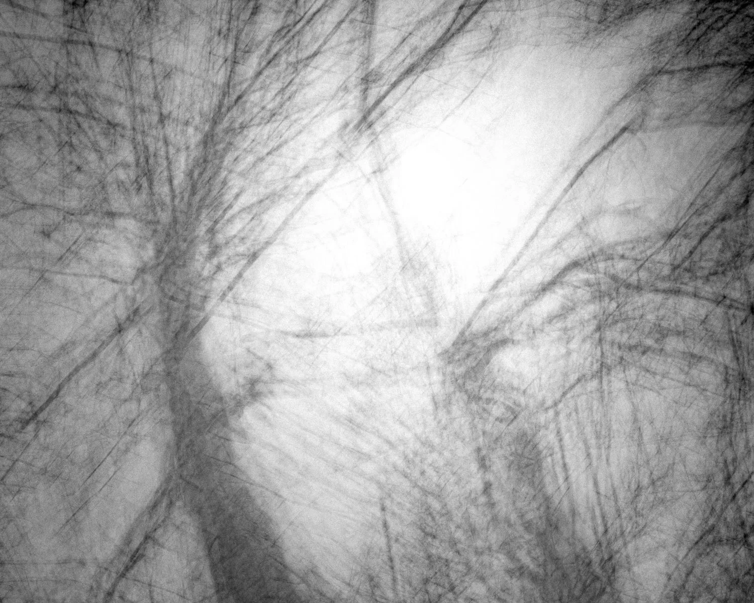  Here the camera was moved only slightly between stops for imprints, bringing more mystery to the scene 