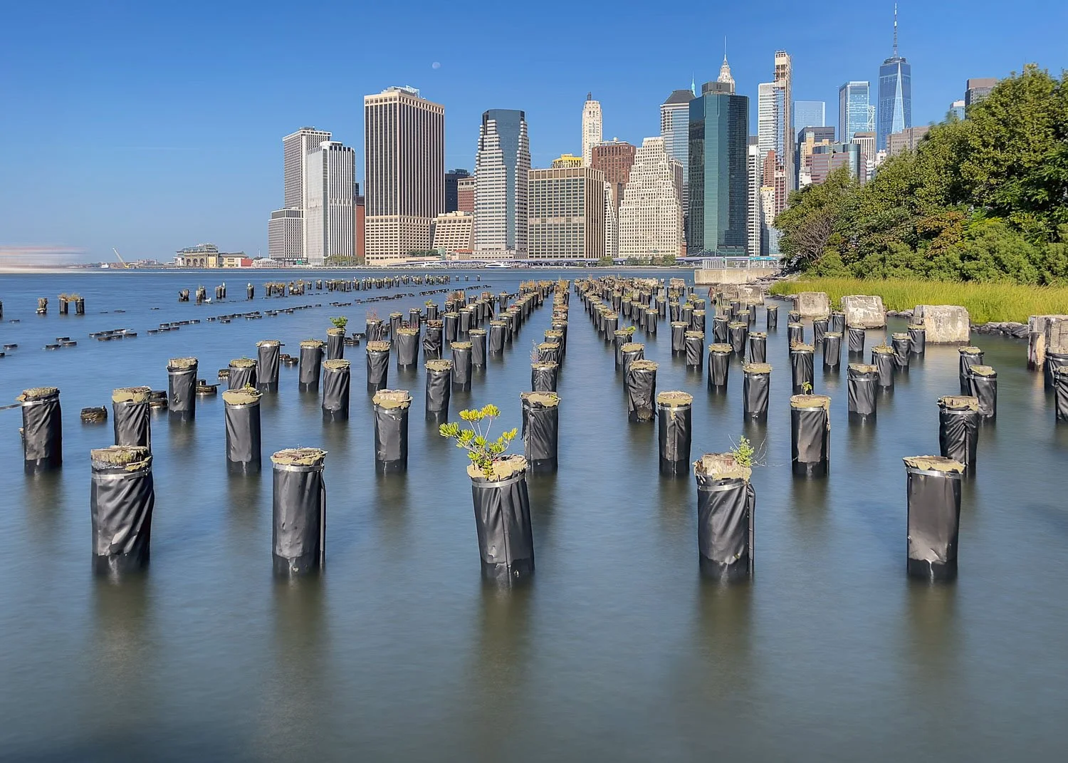 New York City skyline - reference image