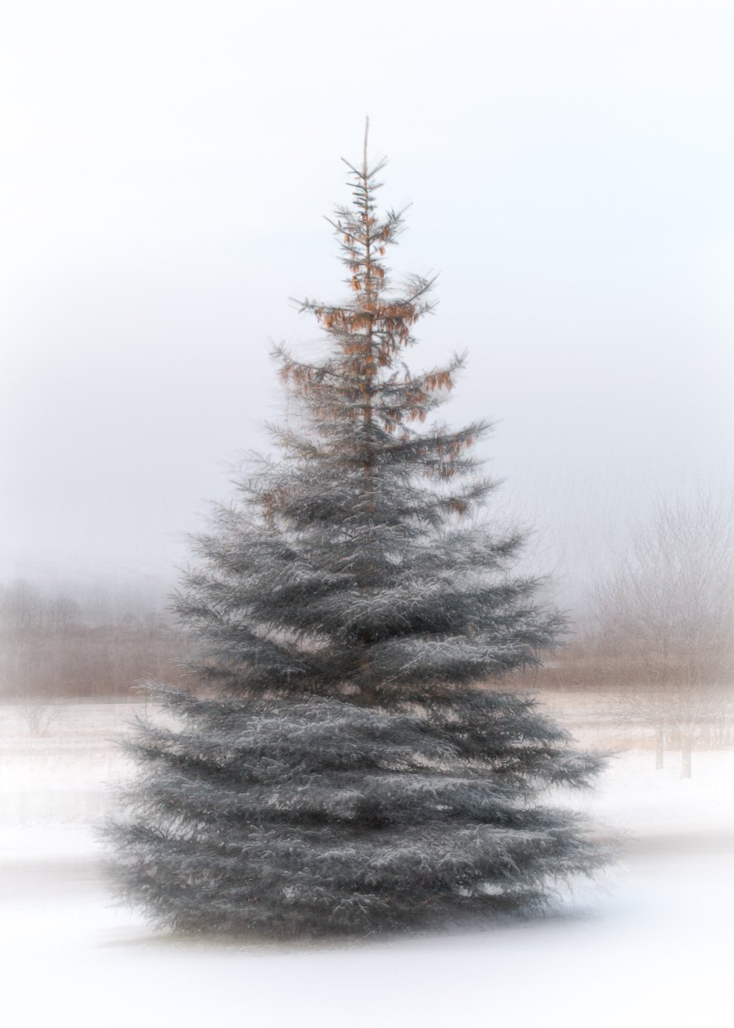 _DSC0510-Edit.jpg