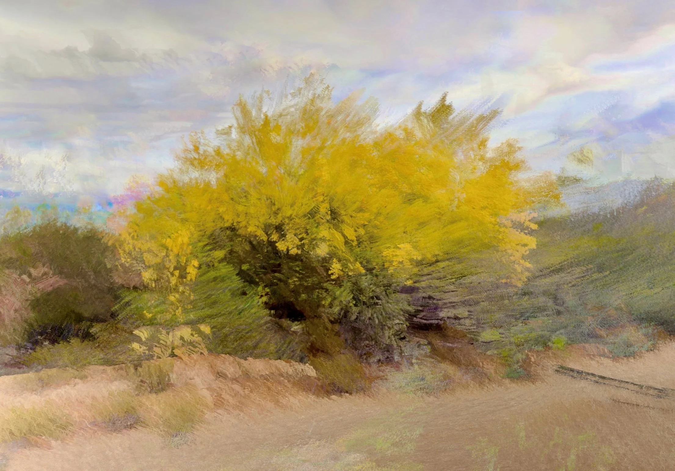 A combination of several captures using Bluristic 
