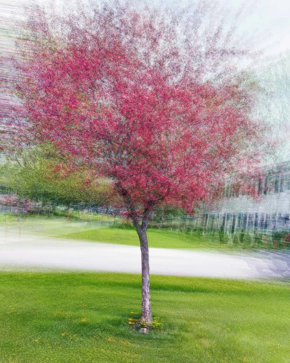 Bluristic_1-1-Edit-2.jpg