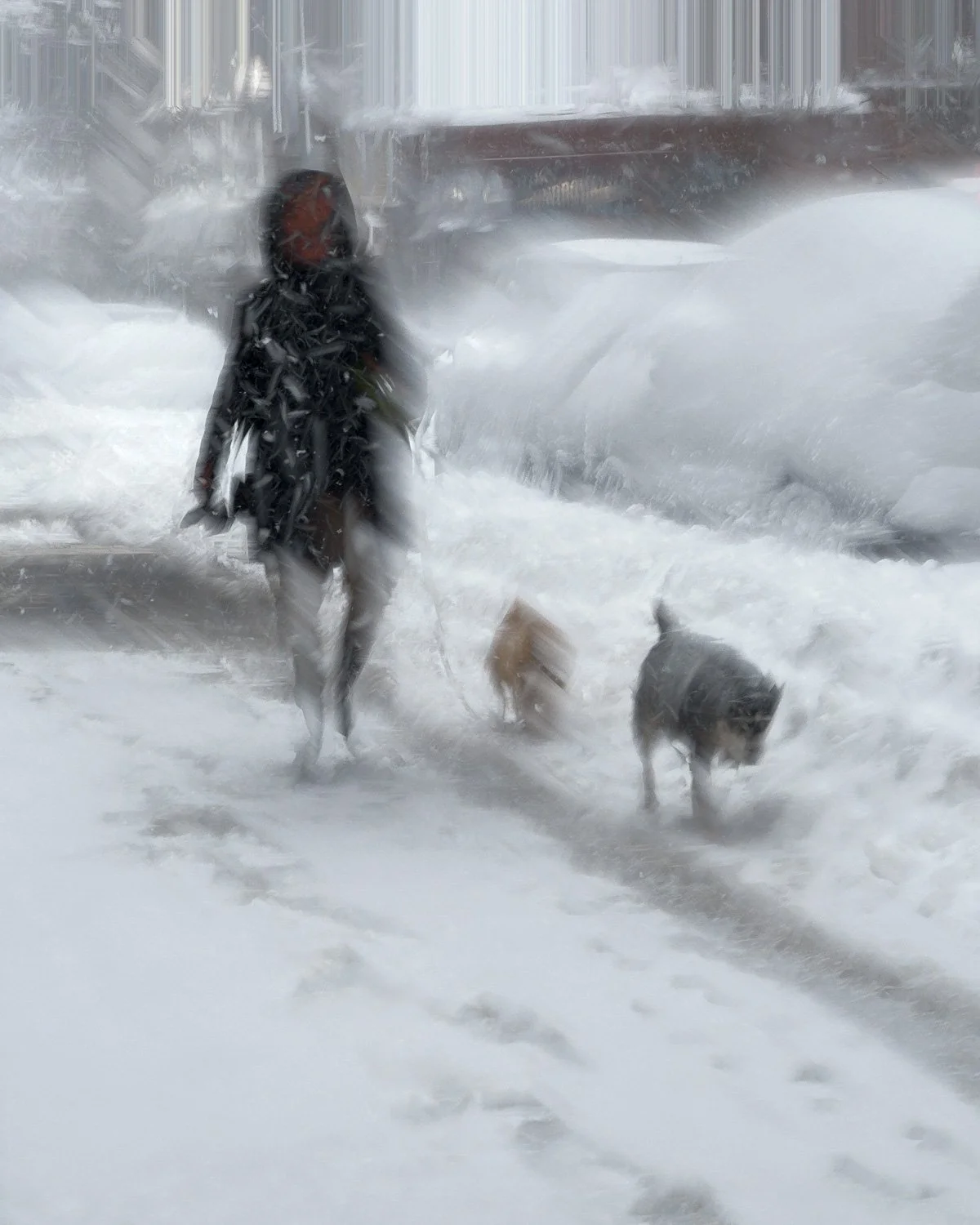 Abstract ICM Bluristic  photo - Person walking two dogs in a snowy, windy street during a snowstorm.