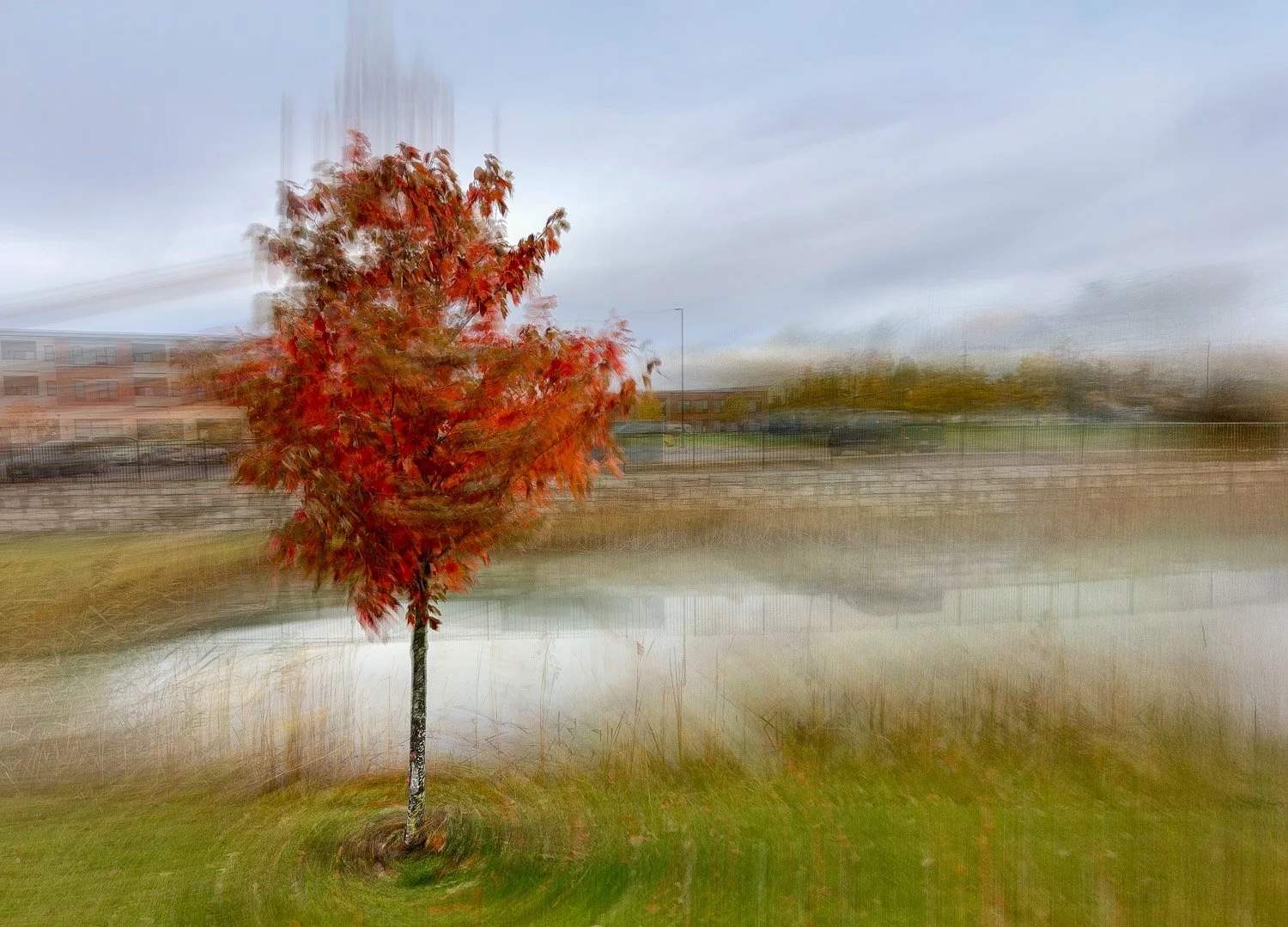 Abstract ICM Bluristic  photo - A single red autumn tree near a pond with an abstract blurry landscape background.