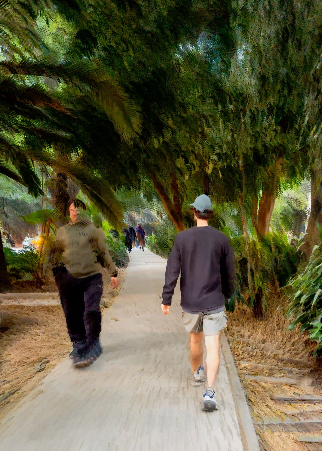 ICM image of boy walking along tree-lined path