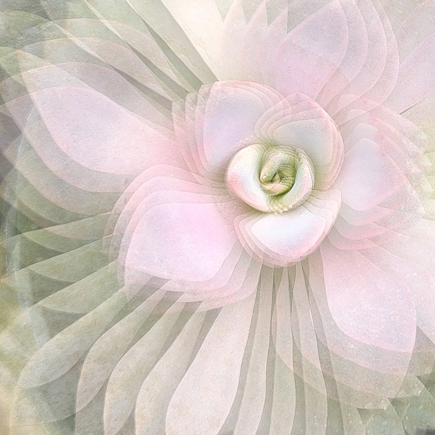 Bluristic_1-2-Edit-Edit.jpg