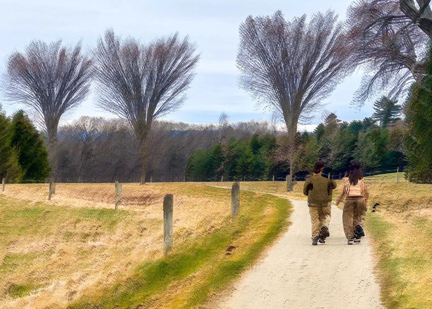 Abstract ICM Bluristic  photo - A blurred image of a couple walking through parkland.