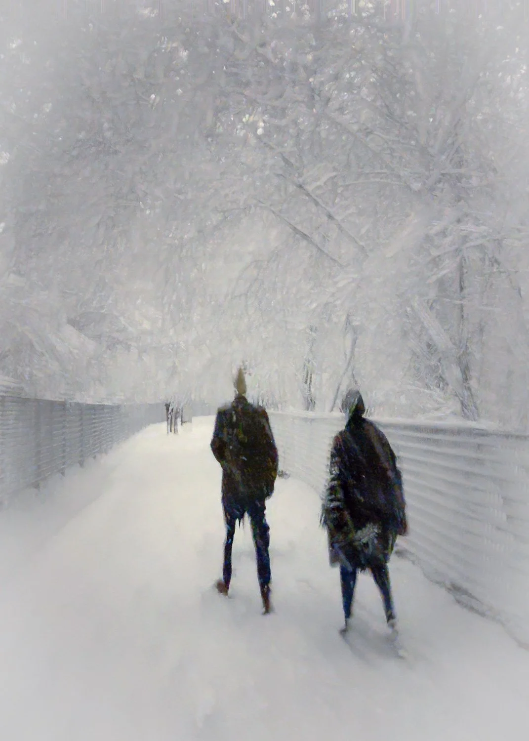 Abstract ICM Bluristic  photo - A blurred image of people strolling through heavy snow in a park in New York City