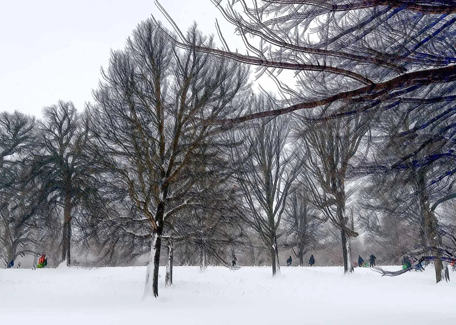 Abstract ICM Bluristic  photo - a Snow-covered park with leafless trees and a few people walking in the distance.