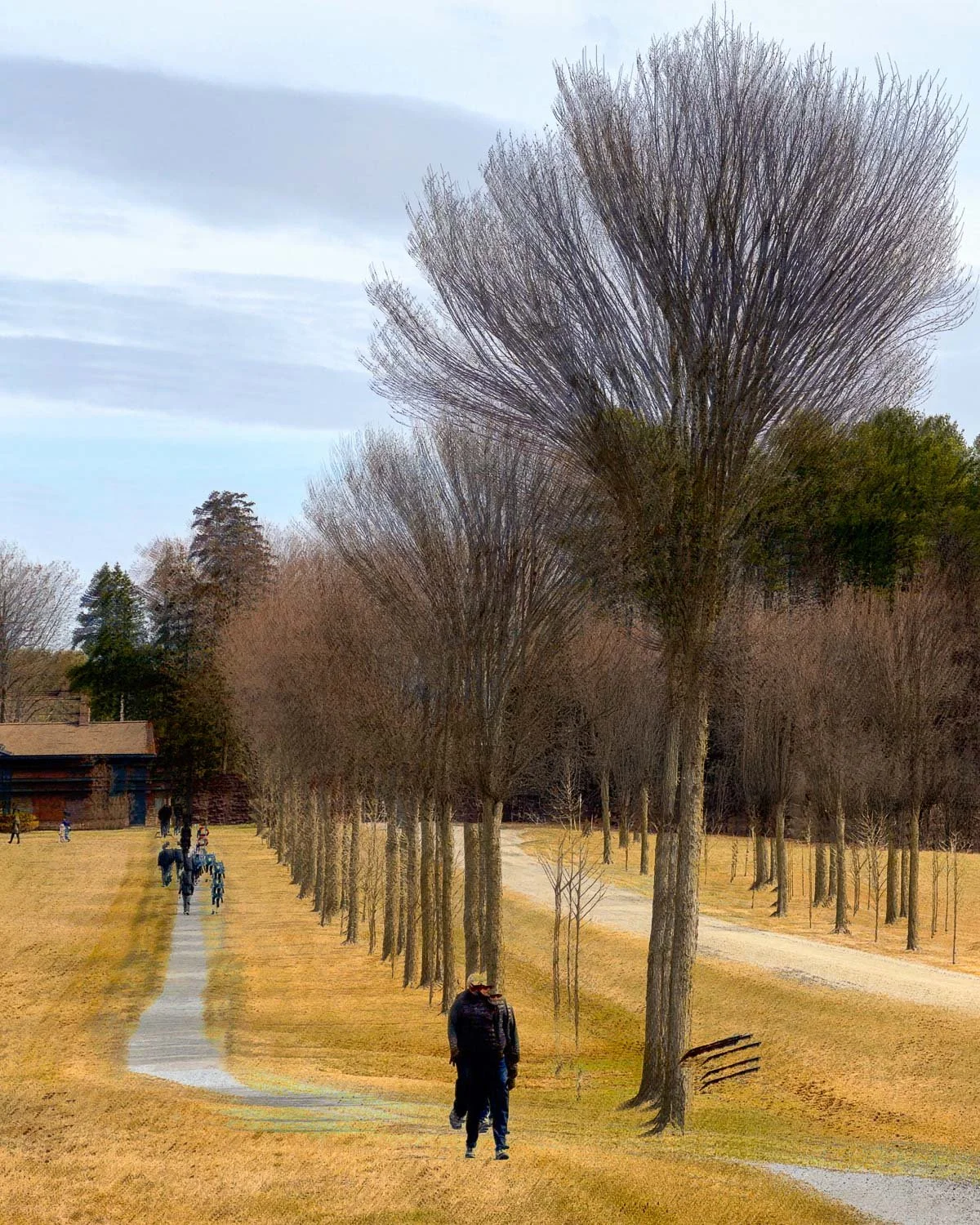 Abstract ICM Bluristic  photo - A blurred image of a people on a walking trail at the edge of a tree-lined road