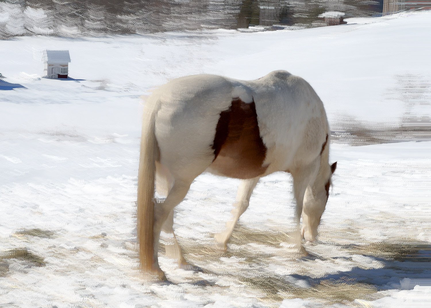 Abstract ICM Bluristic  photo - A white horse standing outdoors in a snow-covered landscape with a small white building in the background.