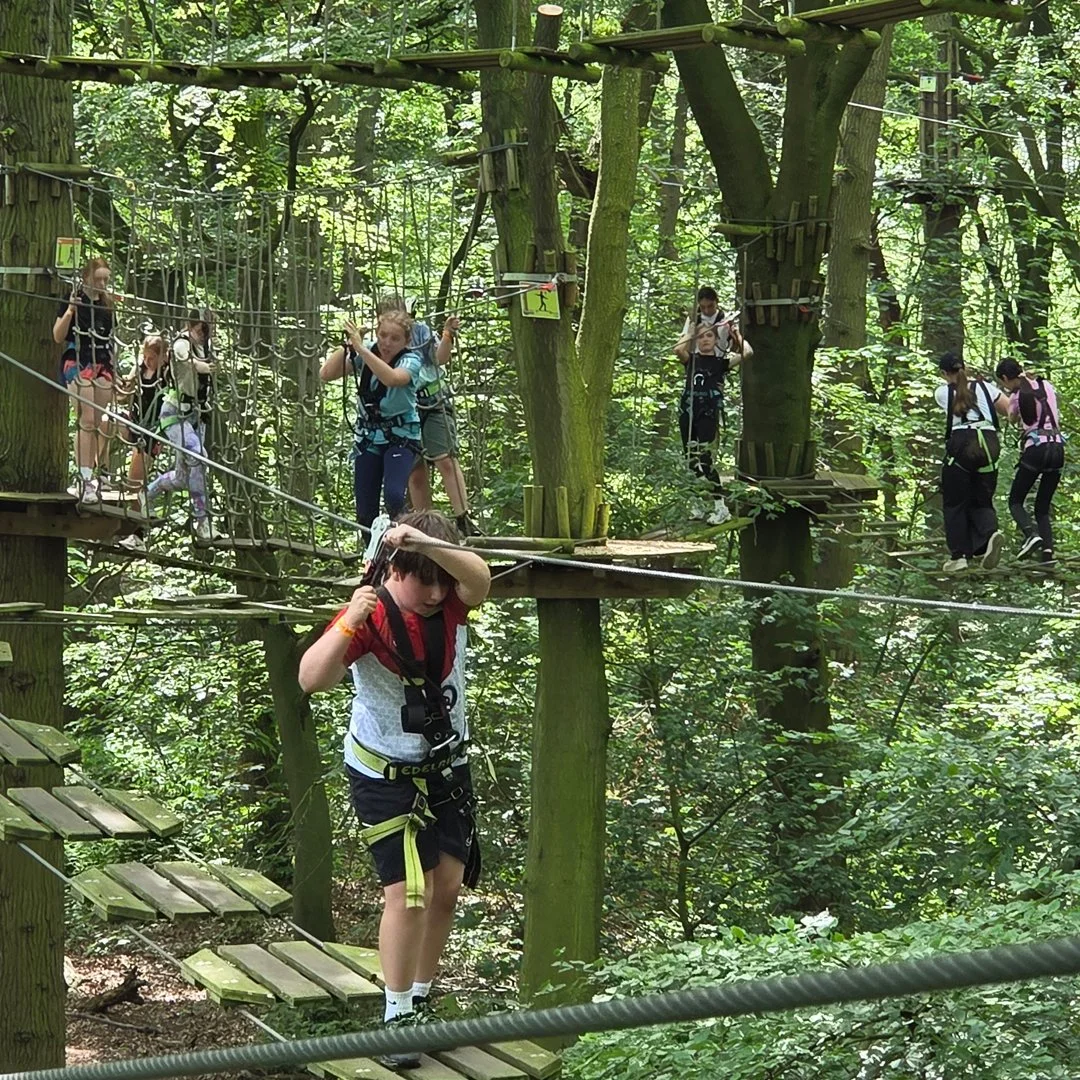 GoApe_2.jpg