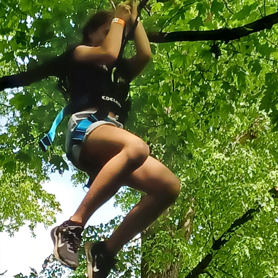 GoApe_3.jpg