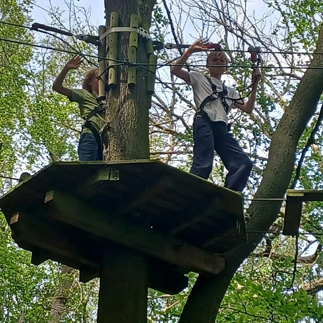 GoApe_4.jpg