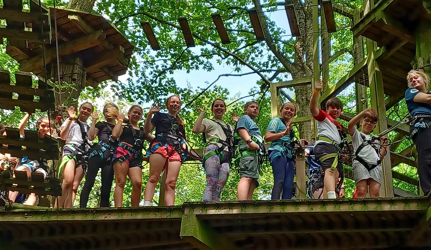 GoApe_11.jpg