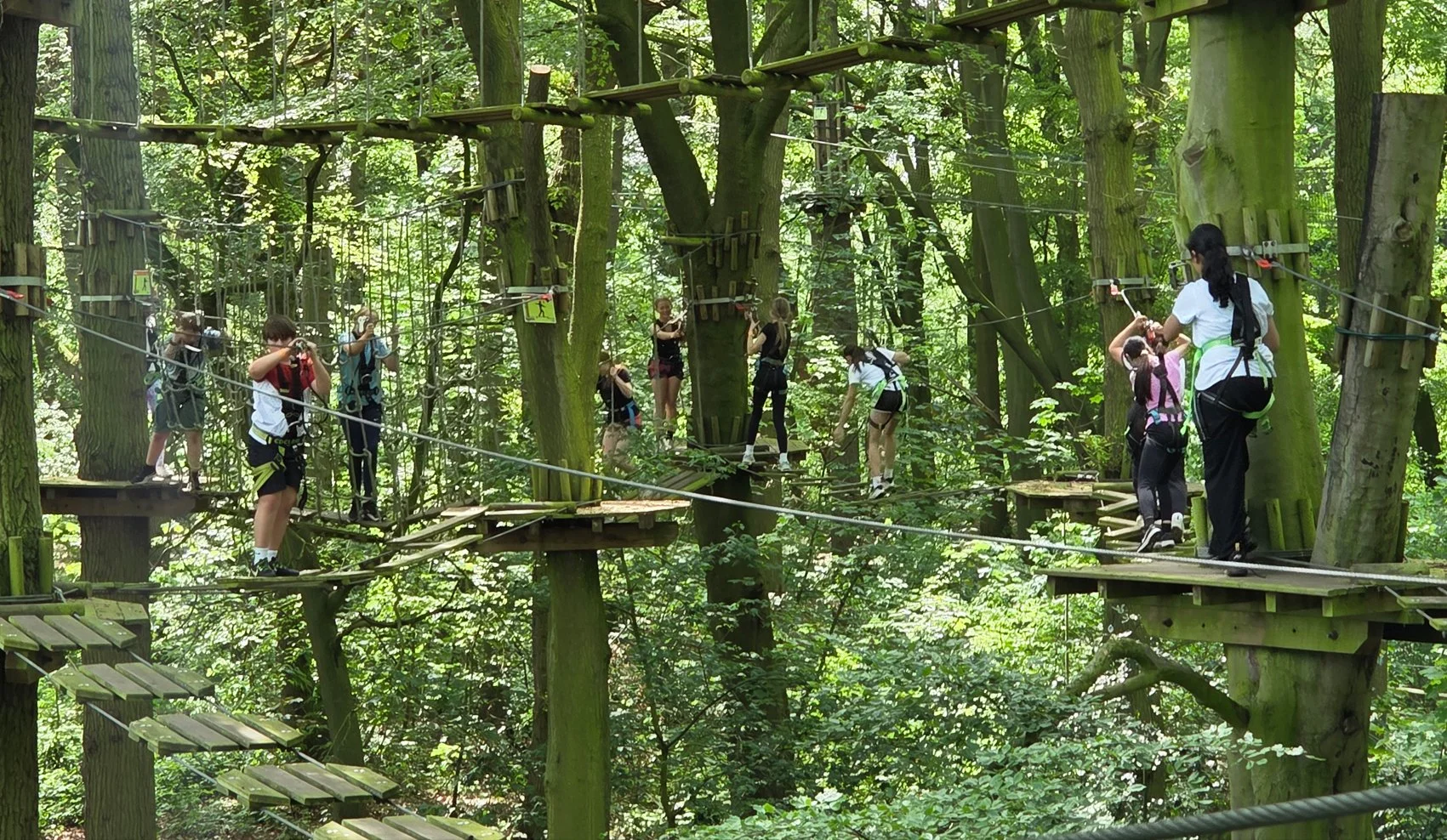 GoApe_22.jpg