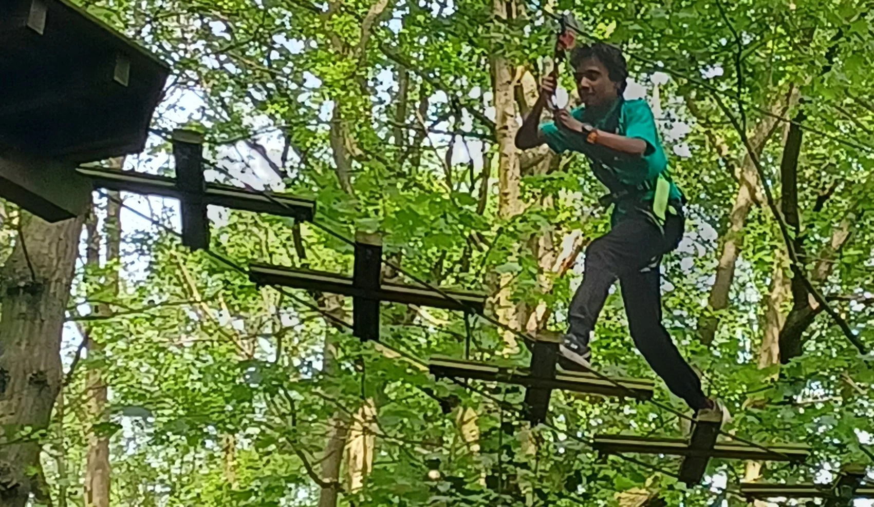 GoApe_44.jpg