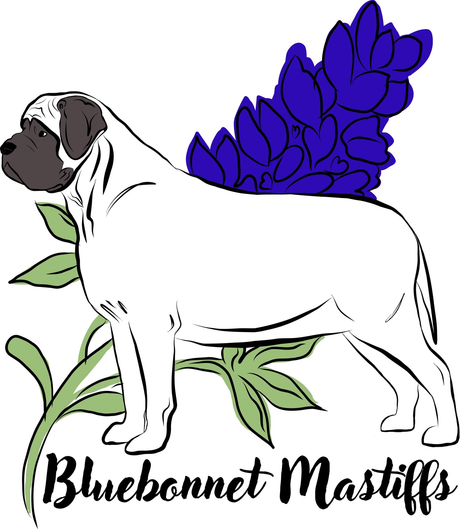 Bluebonnet Mastiffs