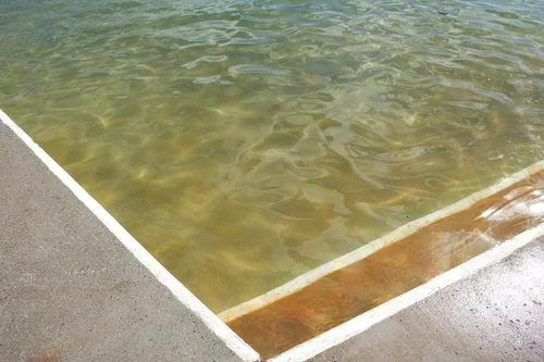 Brown Water in Pool