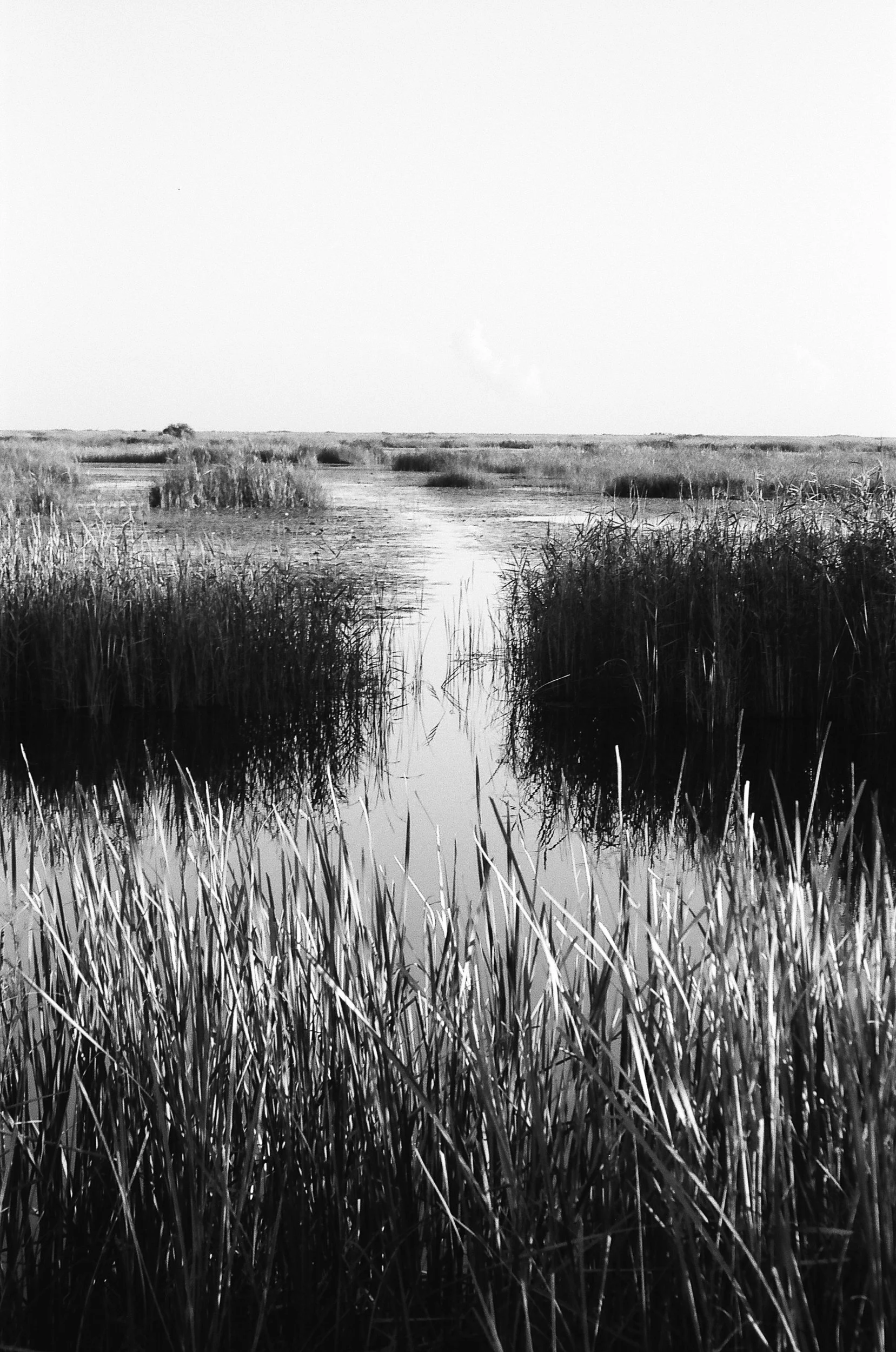  Pentax Zoom90-WR and FujiFilm neopan ACROS 100II 